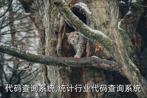 代码查询系统,统计行业代码查询系统