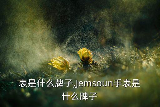 jm表是什么牌子,Jemsoun手表是什么牌子?