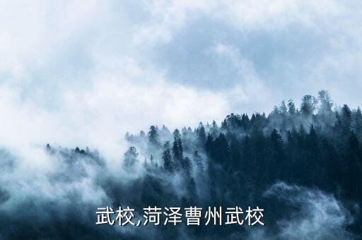 武校,菏泽曹州武校