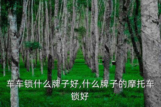山地车车锁什么牌子好,什么牌子的摩托车锁好?