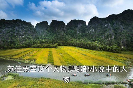 ,苏佳栗宝这个人物是哪部小说中的人物