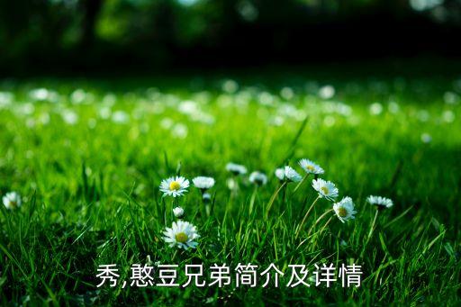 李凡秀,憨豆兄弟简介及详情