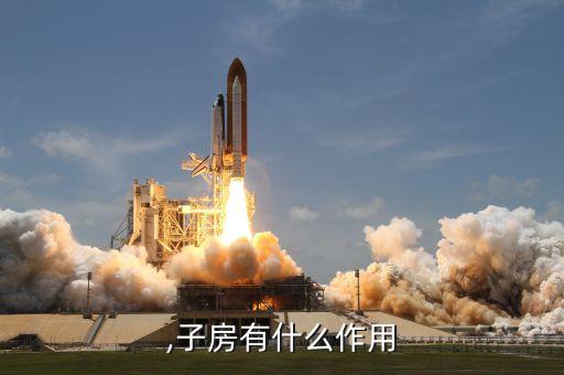 ,子房有什么作用