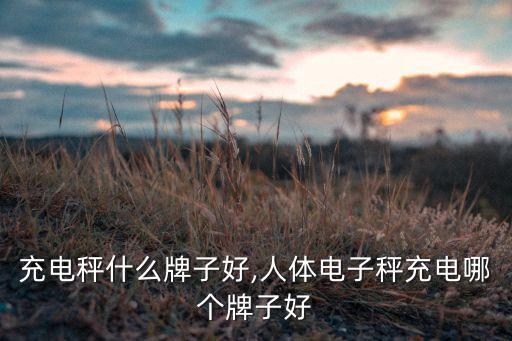 人体充电秤什么牌子好,人体电子秤充电哪个牌子好?