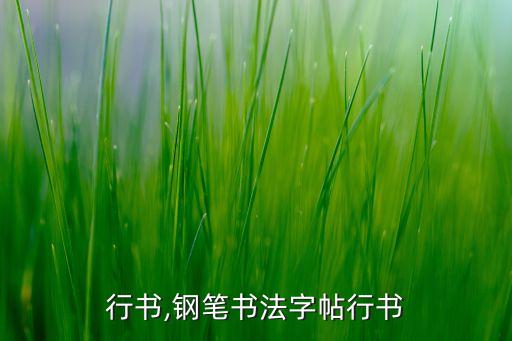 气字行书,钢笔书法字帖行书
