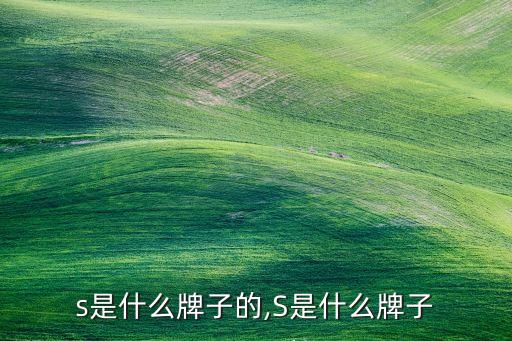 s是什么牌子的,S是什么牌子