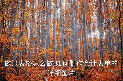 做账表格怎么做,如何制作会计表单的详细图片