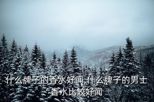 男士什么牌子的香水好闻,什么牌子的男士香水比较好闻?