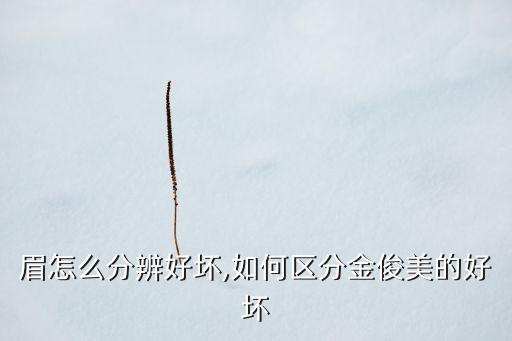 眉怎么分辨好坏,如何区分金俊美的好坏