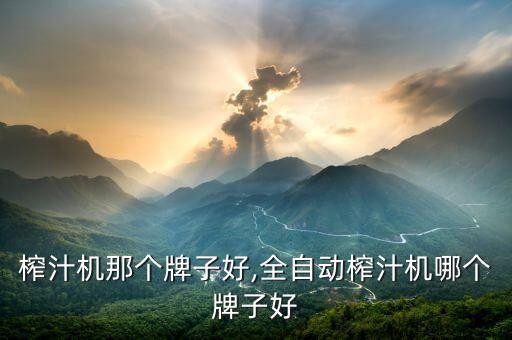 榨汁机那个牌子好,全自动榨汁机哪个牌子好