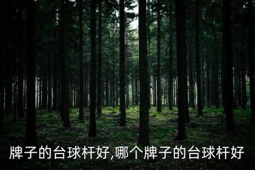 牌子的台球杆好,哪个牌子的台球杆好