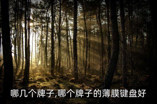 哪几个牌子,哪个牌子的薄膜键盘好
