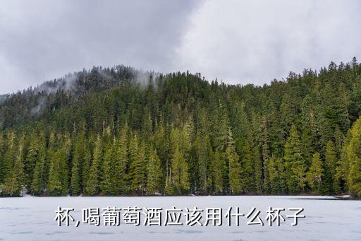杯,喝葡萄酒应该用什么杯子