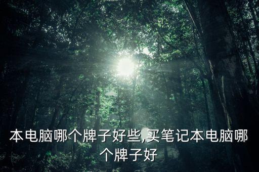 本电脑哪个牌子好些,买笔记本电脑哪个牌子好