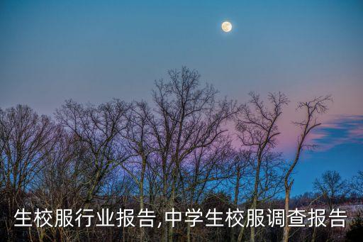 生校服行业报告,中学生校服调查报告