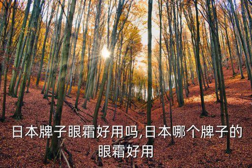 哪个日本牌子眼霜好用吗,日本哪个牌子的眼霜好用?