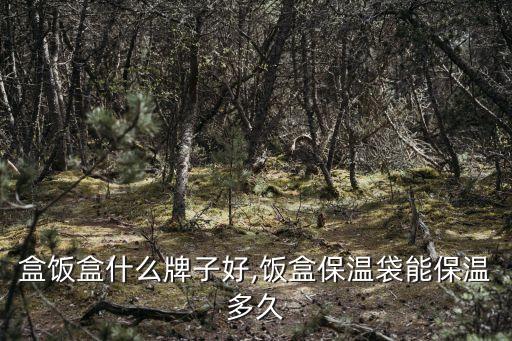 保温盒饭盒什么牌子好,饭盒保温袋能保温多久?
