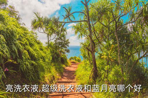 蓝月亮洗衣液,超级洗衣液和蓝月亮哪个好?