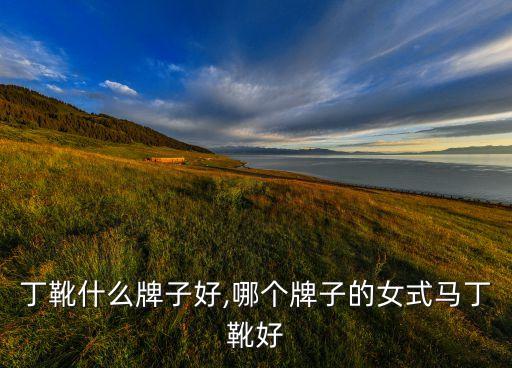 丁靴什么牌子好,哪个牌子的女式马丁靴好