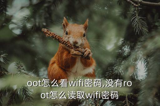 不root怎么看wifi密码,没有root怎么读取wifi密码?
