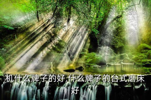 砂轮机什么牌子的好,什么牌子的台式磨床好?