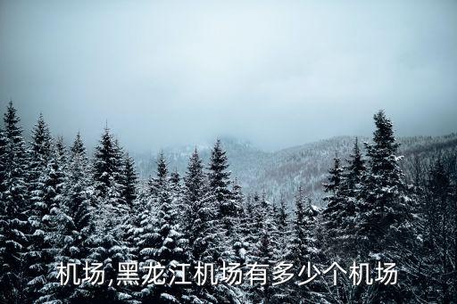 机场,黑龙江机场有多少个机场