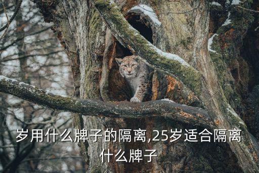 岁用什么牌子的隔离,25岁适合隔离什么牌子
