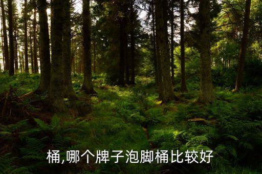 泡脚桶,哪个牌子泡脚桶比较好