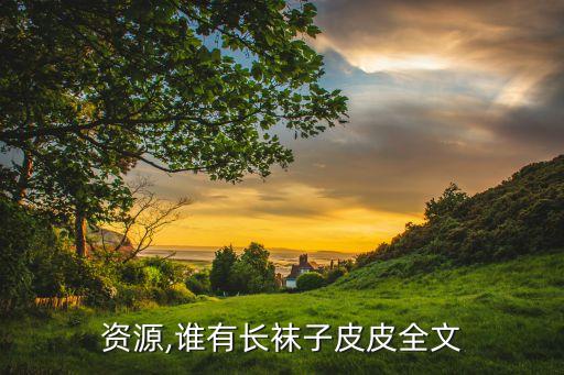 资源,谁有长袜子皮皮全文