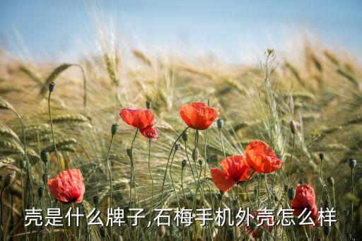 壳是什么牌子,石梅手机外壳怎么样