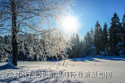 电商对it行业冲击,电商行业前景如何?
