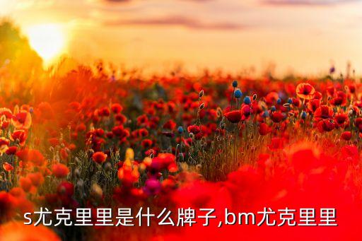 s尤克里里是什么牌子,bm尤克里里