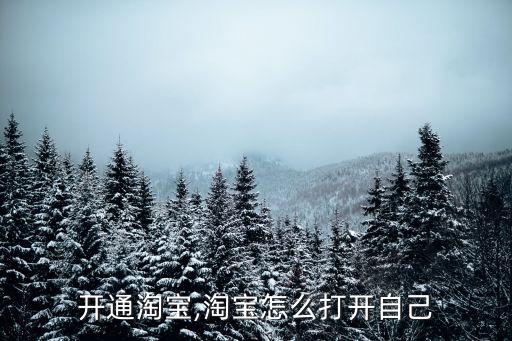 开通淘宝,淘宝怎么打开自己