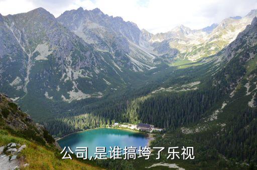 乐视公司,是谁搞垮了乐视?