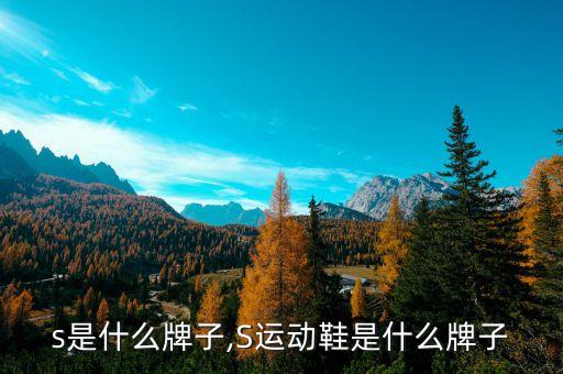 运动s是什么牌子,S运动鞋是什么牌子?