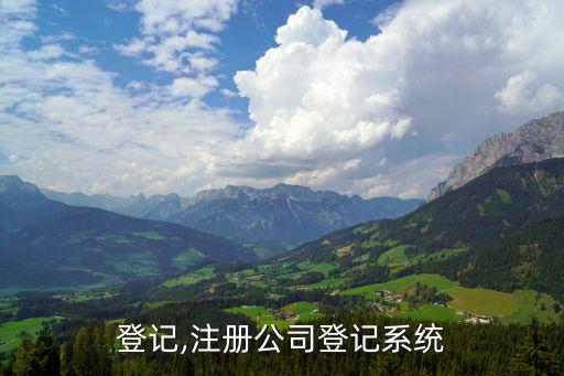 公司登记,注册公司登记系统