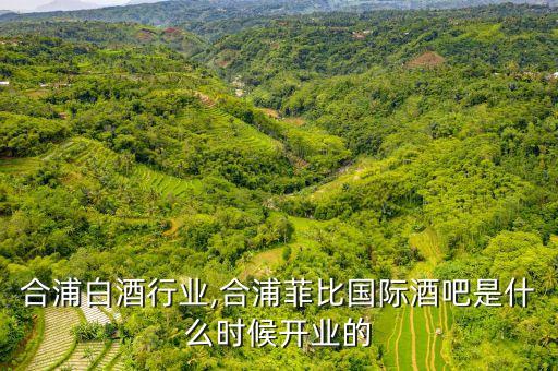 合浦白酒行业,合浦菲比国际酒吧是什么时候开业的