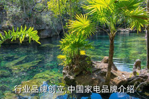 行业品牌创立,中国家电品牌介绍