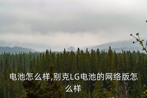 lg电池怎么样,别克LG电池的网络版怎么样?