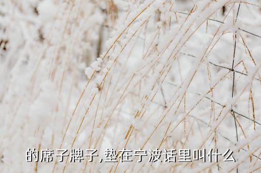 宁波的席子牌子,垫在宁波话里叫什么?