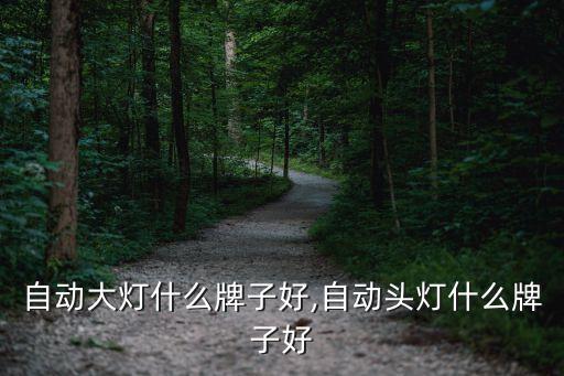 汽车自动大灯什么牌子好,自动头灯什么牌子好?