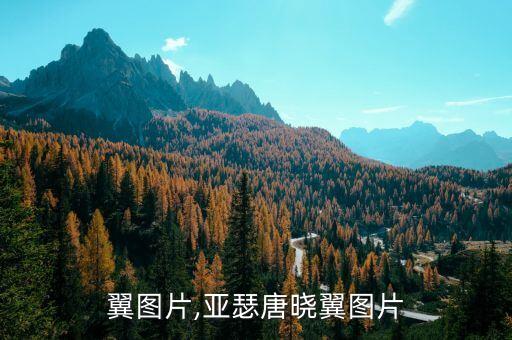 唐晓翼图片,亚瑟唐晓翼图片