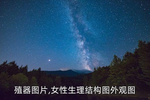 女生殖器图片,女性生理结构图外观图