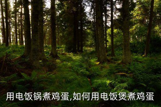 怎么用电饭锅煮鸡蛋,如何用电饭煲煮鸡蛋