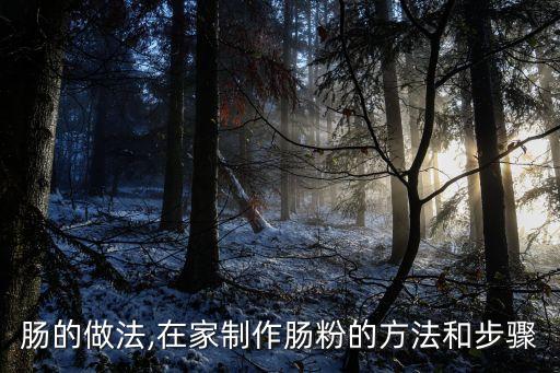 蒸粉肠的做法,在家制作肠粉的方法和步骤