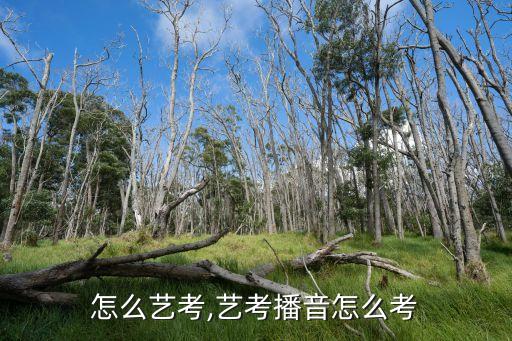 怎么艺考,艺考播音怎么考