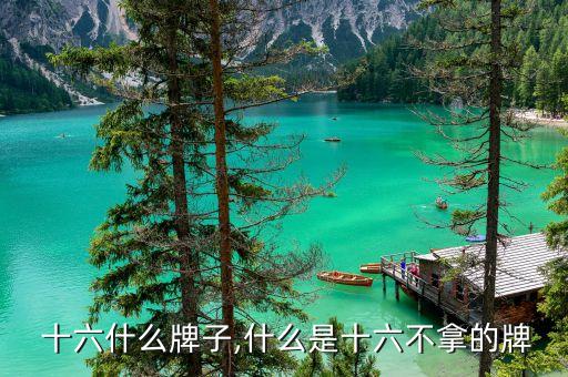 十五 十六什么牌子,什么是十六不拿的牌?