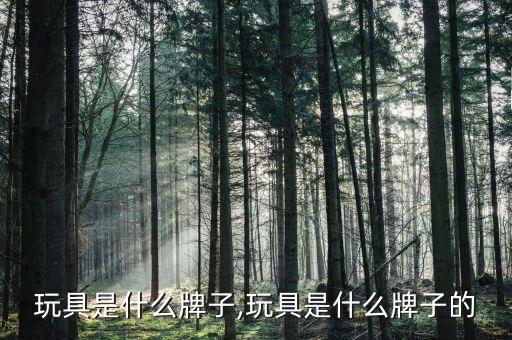 那个玩具是什么牌子,玩具是什么牌子的?