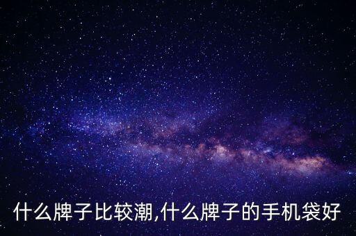 腰包什么牌子比较潮,什么牌子的手机袋好?