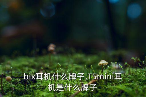 mqbix耳机什么牌子,T5mini耳机是什么牌子?